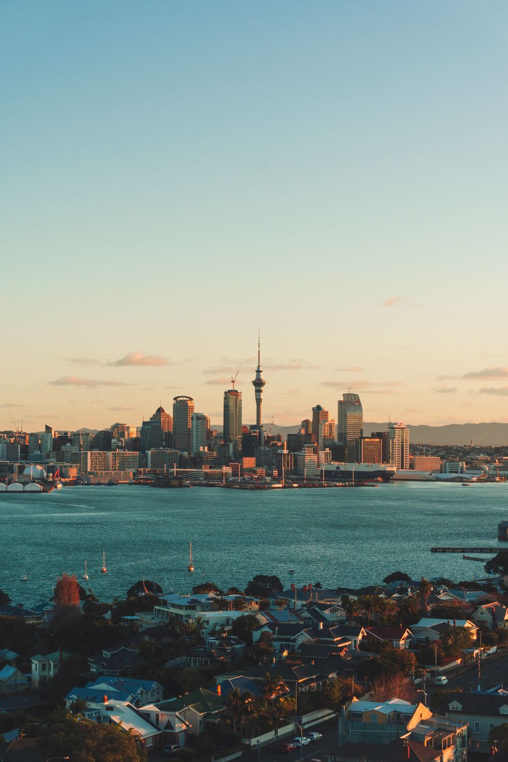 study in new-zealand